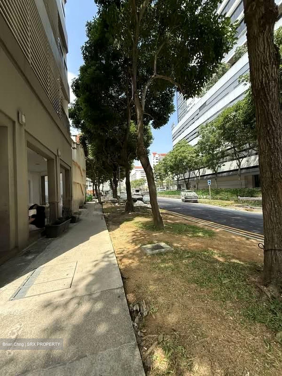 Farrer Park Suites (D8), Shop House #531339511